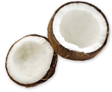 Coconut-PNG.png Coconut-PNG.png